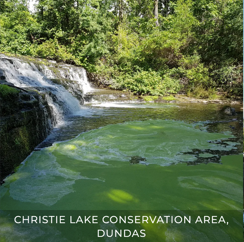 Christie Lake Conservation Area, Dundas