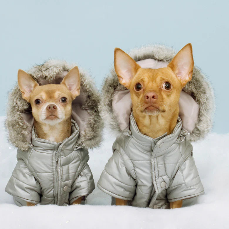 So You Bought a Drysuit. NOW WHAT DO YOU DO?