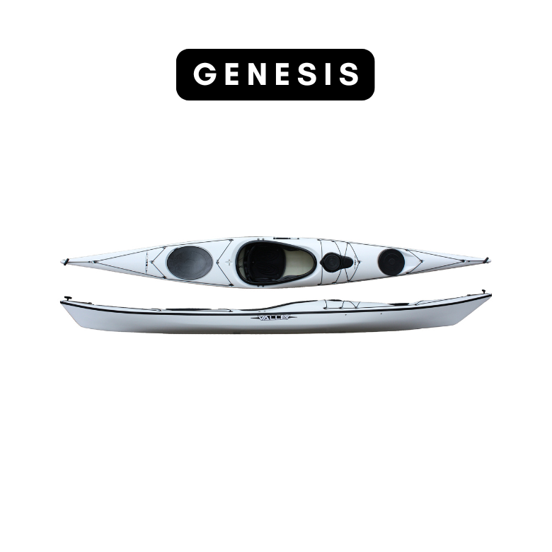 The Genesis