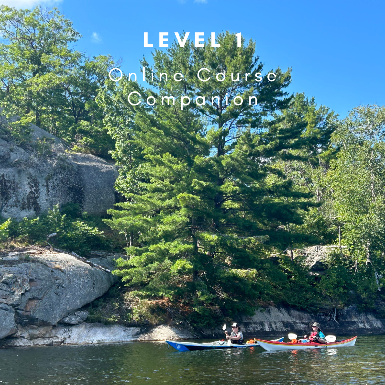 Level 1 - Online Companion